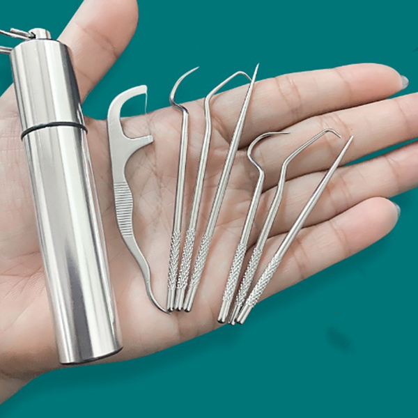 Stainless Steel Toothpick Set 7pcs